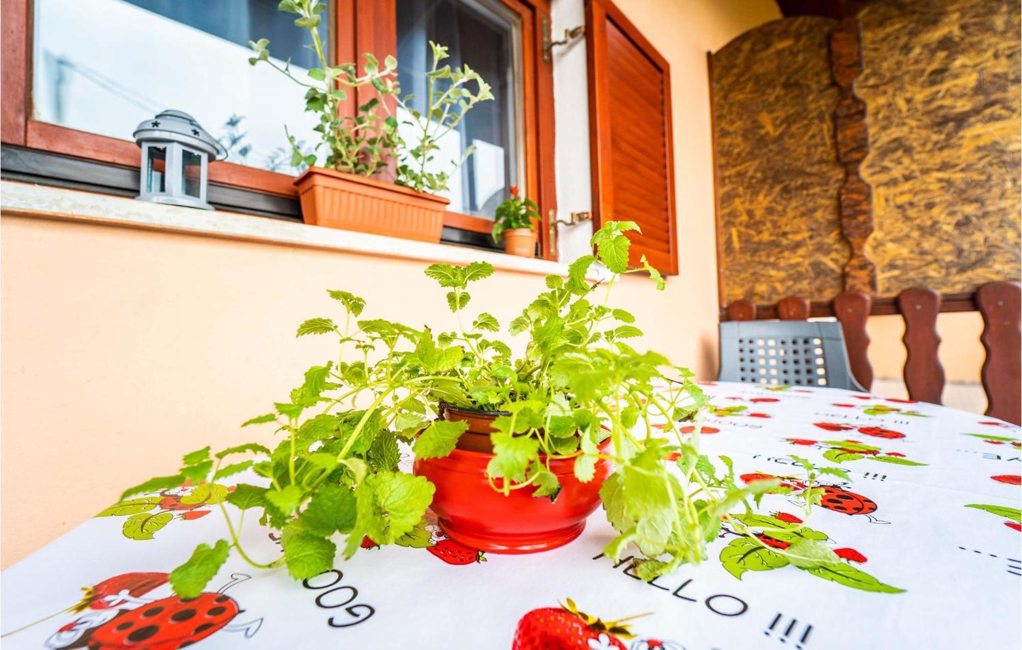 Amazing Apartment In Krnica With Kitchen Exterior foto